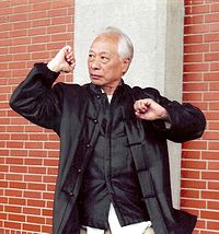 Adam Hsu - Bagua Zhang - Internal hands