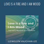 Llewellyn Vaughan-Lee – LOVE IS A FIRE AND I AM WOOD