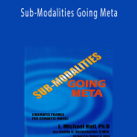 Michael Hall and Bob Bodenhamer - Sub-Modalities Going Meta