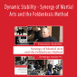 Moti Nativ - Dynamic Stability - Synergy of Martial Arts and the Feldenkrais Method