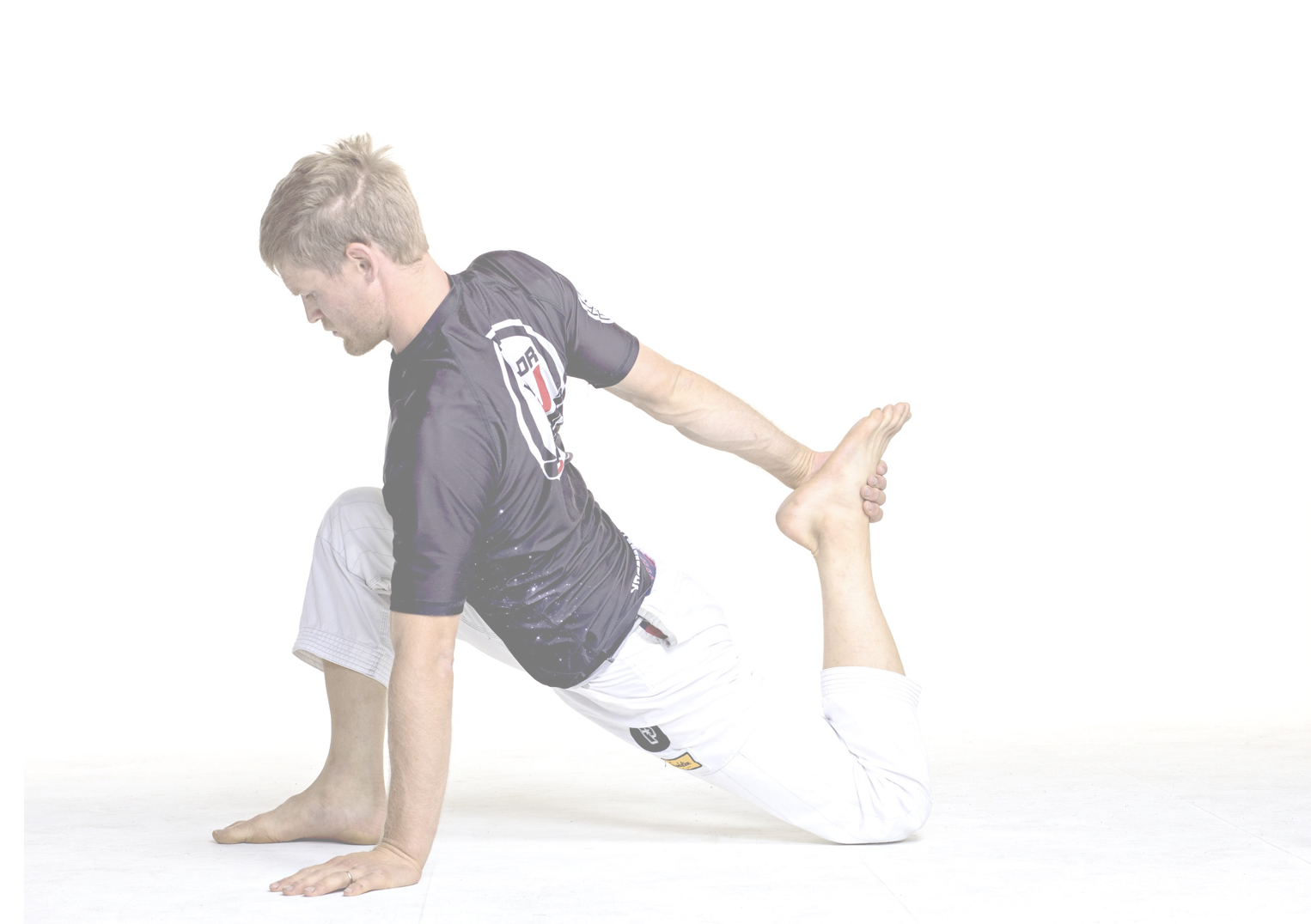 Sebastian - The Yoga for BJJ Instructor Level 2.