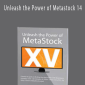 Unleash the Power of Metastock 14