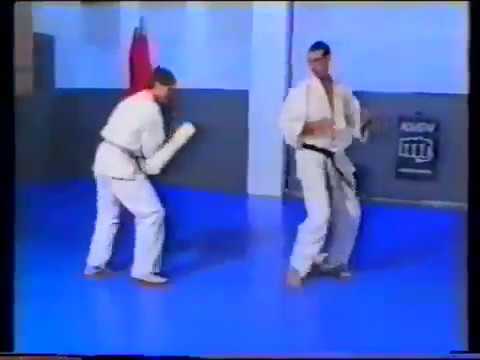 Andy Hug & Michael Wedl - Kyokushin Karate Instructional 1 & 2