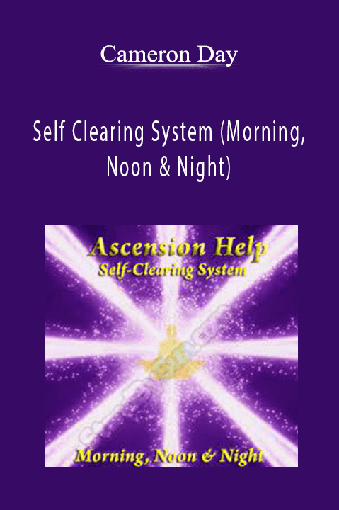 Cameron Day - Self Clearing System (Morning, Noon & Night)