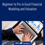 Beginner to Pro in Excel Financial Modeling and Valuation