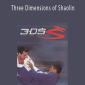 Vitor Shaolin Ribeiro - Three Dimensions of Shaolin