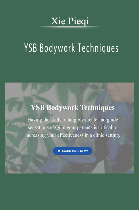 Xie Pieqi - YSB Bodywork Techniques