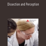 Lauri Nemetz - Dissection and Perception