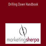 MarketingSherpa - Drilling Down Handbook
