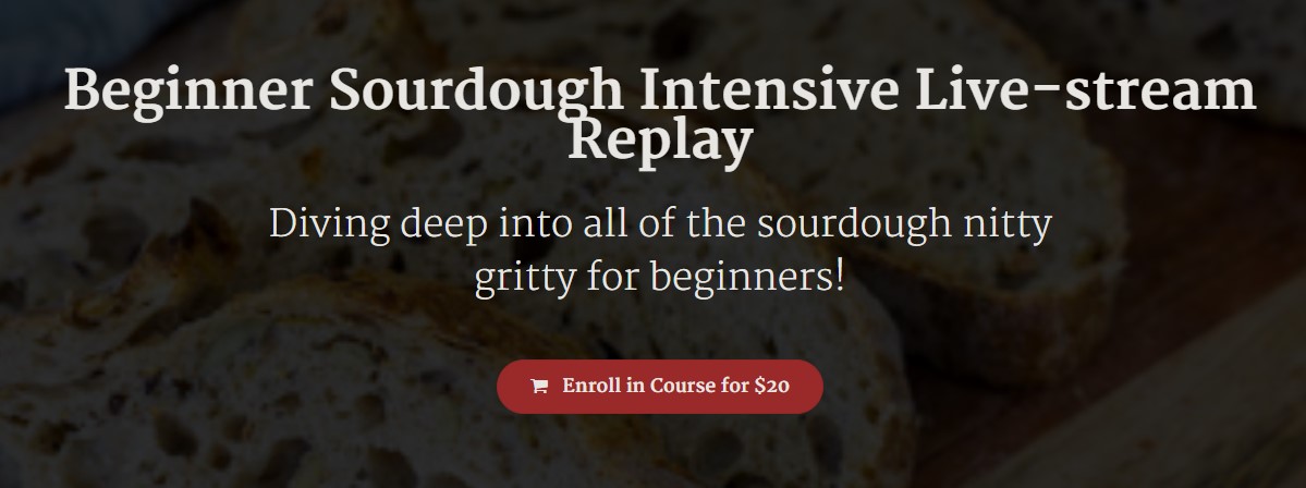 Baker Bettie - Beginner Sourdough Intensive Live-stream Replay