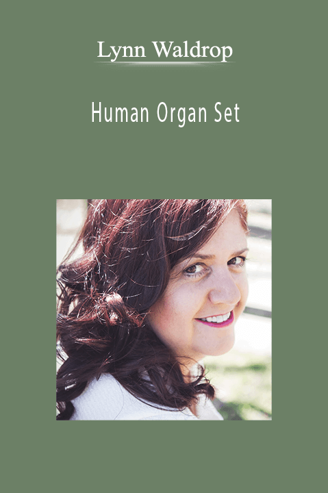Lynn Waldrop - Human Organ Set.