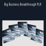 Big Business Breakthrough PLR