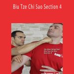 Sifus Taner & Graziano - Biu Tze Chi Sao Section 4.
