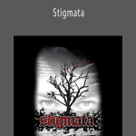 Wayne Houchin - Stigmata