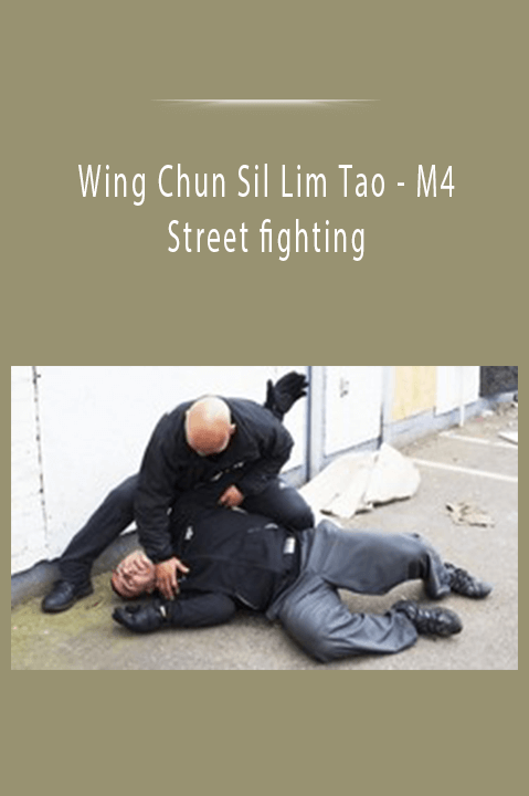 Wing Chun Sil Lim Tao - M4 Street fighting