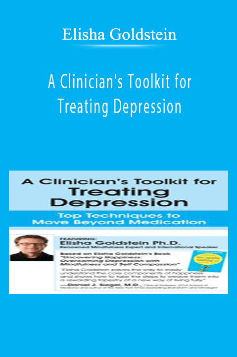A Clinician's Toolkit for Treating Depression Top Techniques to Move Beyond Medication - Elisha Goldstein