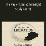Adyashanti - The way of Liberating Insight - Study Course.