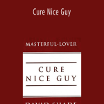 David Shade - Cure Nice Guy