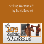 Fight Smart - Striking Workout MP3 (by Travis Roesler)