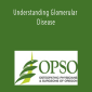 Mark Baldwin - Understanding Glomerular Disease