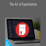 Mohamed Atef - The Art of Exploitation