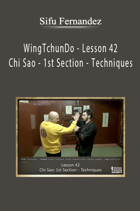Sifu Fernandez - WingTchunDo - Lesson 42 - Chi Sao - 1st Section - Techniques