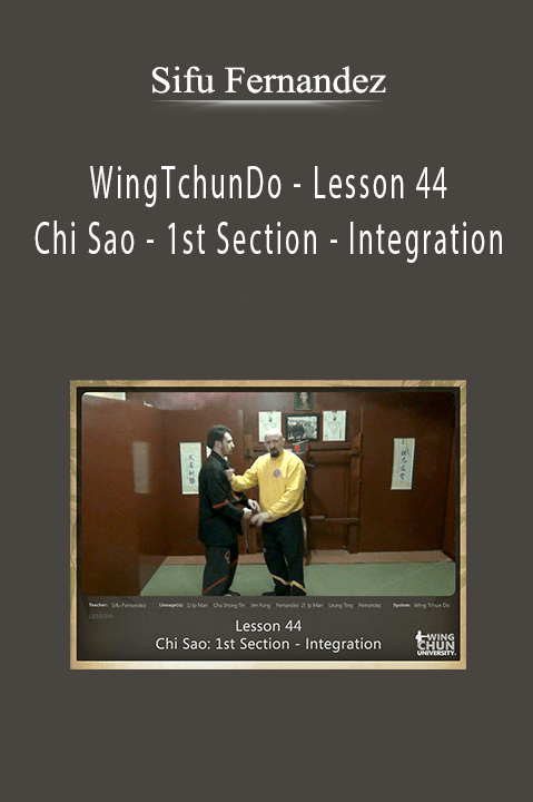 Sifu Fernandez - WingTchunDo - Lesson 44 - Chi Sao - 1st Section - Integration