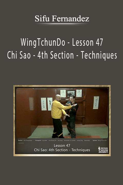 Sifu Fernandez - WingTchunDo - Lesson 47 - Chi Sao - 4th Section - Techniques