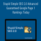 Stupid Simple SEO 2.0 Advanced - Guaranteed Google Page 1 Rankings Today