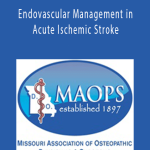 Timothy Morgan - Endovascular Management in Acute Ischemic Stroke