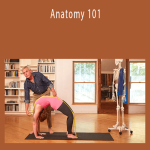 Tom Myers - Anatomy 101