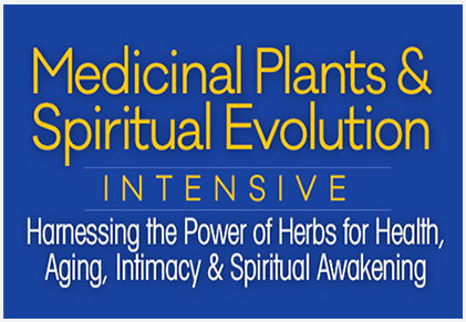David Crow - Medicinal Plants & Spiritual Evolution Intensive (2017)