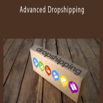 Luca Netz - Advanced Dropshipping.
