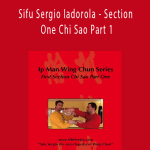 Wing Tjun - Sifu Sergio Iadorola - Section One Chi Sao Part 1