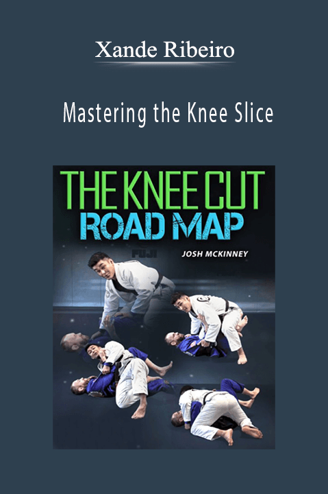 Xande Ribeiro - Mastering the Knee Slice
