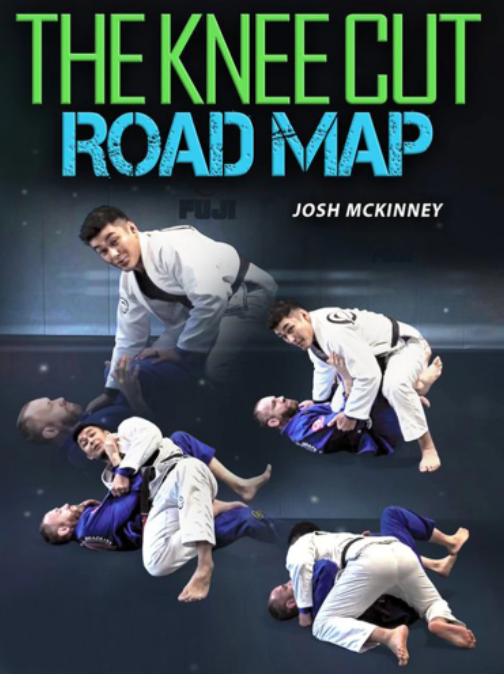Xande Ribeiro - Mastering the Knee Slice1