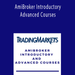 AmiBroker Introductory and Advanced Courses.