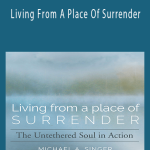 Michael Singer - Living From A Place Of Surrender