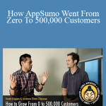Appsumo - How AppSumo Went From Zero To 500