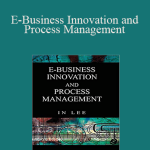 In Lee - E-Business Innovation and Process Management