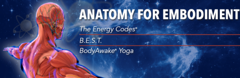 Dr.-Sue-Morter-Anatomy-For-Embodiment-2022