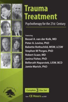  Janina Fisher, Peter Levine, Jamie Marich, Babette Rothschild, Belleruth Naparstek, Robert Scaer, Stephen Porges, Bessel van der Kolk – 3-Part Trauma Treatment: Psychotherapy for the 21st Century