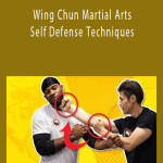 David Wong - Wing Chun Martial Arts Self Defense Techniques