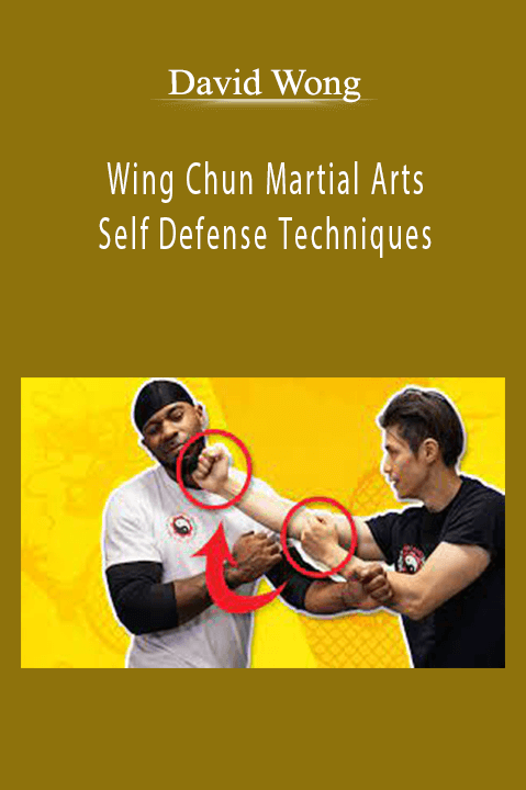 David Wong - Wing Chun Martial Arts Self Defense Techniques