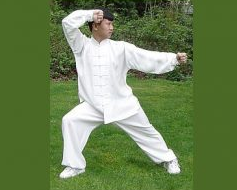 Ma-Hong-Chen-Style-Tai-Chi-The-Secret-of-Jin-Release-2009