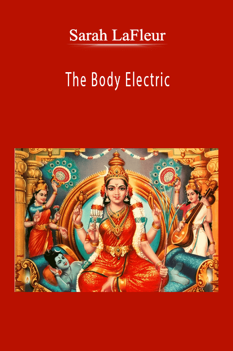 Sarah LaFleur - The Body Electric