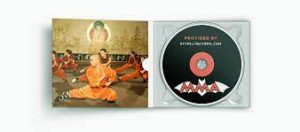 Shaolin-Fist-of-the-Snake-Nan-Shaolin-shequan-2007-300x132