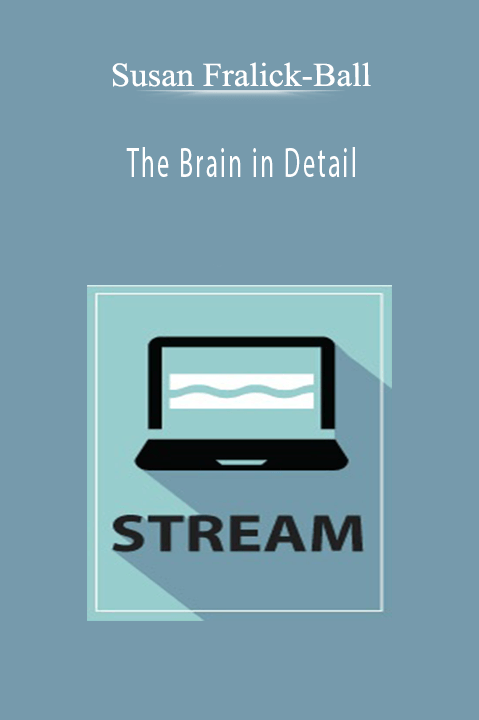 Susan Fralick-Ball - The Brain in Detail