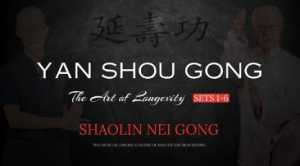 Yan-Shou-Gong-–-The-Art-of-Longevity-Sets-1-6-Shaolin-Nei-Gong-300x166Yan-Shou-Gong-–-The-Art-of-Longevity-Sets-1-6-Shaolin-Nei-Gong-300x166