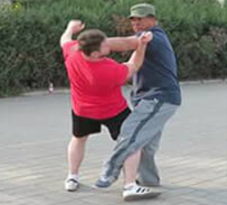 Yin-Style-Bagua-Lion-System